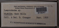 Image Associated With the Occurence